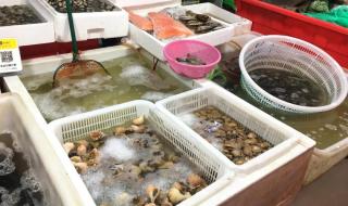 天津菜市场招商