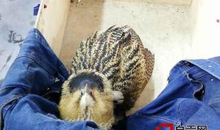 这就是自贡 这就是自贡