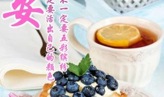 最新每天早上问候语