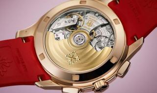 珍珠鹦鹉螺 珍珠鹦鹉螺