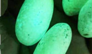 萤石夜明珠 萤石夜明珠