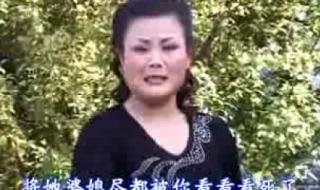 秦腔李苏迎现在疯了吗 秦腔李苏迎现在疯了吗