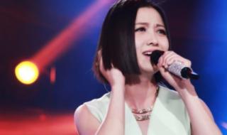 甄嬛传主题曲谁唱的 甄嬛传主题曲谁唱的