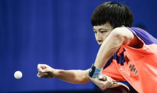 乒乓球亚洲锦标赛男单