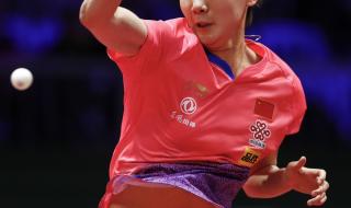 世界锦标赛乒乓球比赛